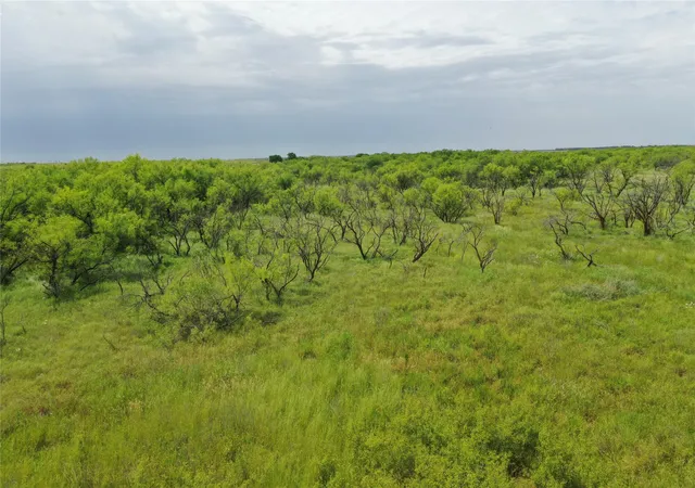Homes for sale in Bellevue, TX | Tbd Davis Ln-Tract 9, Bellevue, TX 76228 | MLS# 20939687