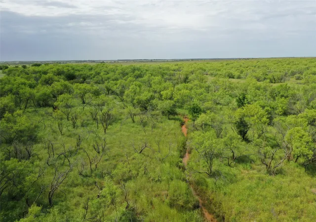 Homes for sale in Bellevue, TX | Tbd Davis Ln-Tract 9, Bellevue, TX 76228 | MLS# 20939687