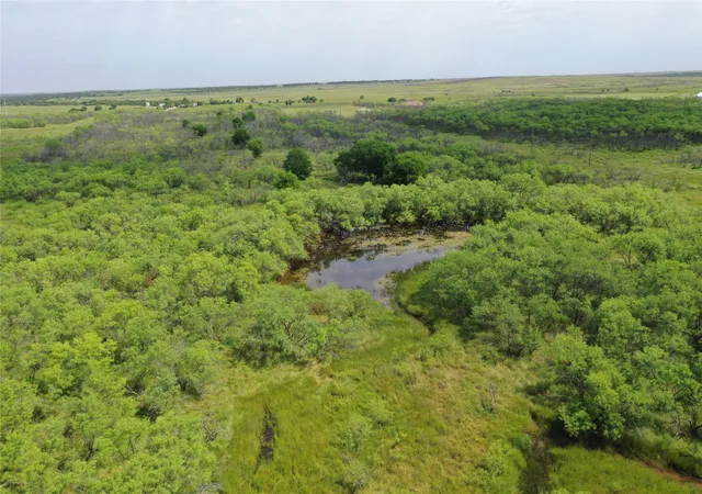 Homes for sale in Bellevue, TX | Tbd Davis Ln Tract 8, Bellevue, TX 76228 | MLS# 20939710