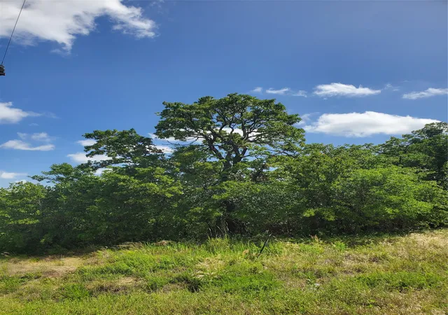 Photo 2 of Land for sale at Lot 649 Horizon Ridge, Sunset, TX 76270 | MLS# 20940721 | Listing updated on 2026-08-29