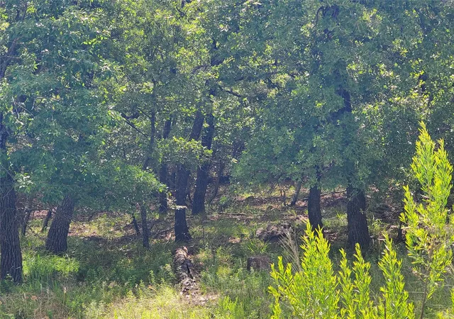 Photo 3 of Land for sale at Lot 649 Horizon Ridge, Sunset, TX 76270 | MLS# 20940721 | Listing updated on 2026-08-29