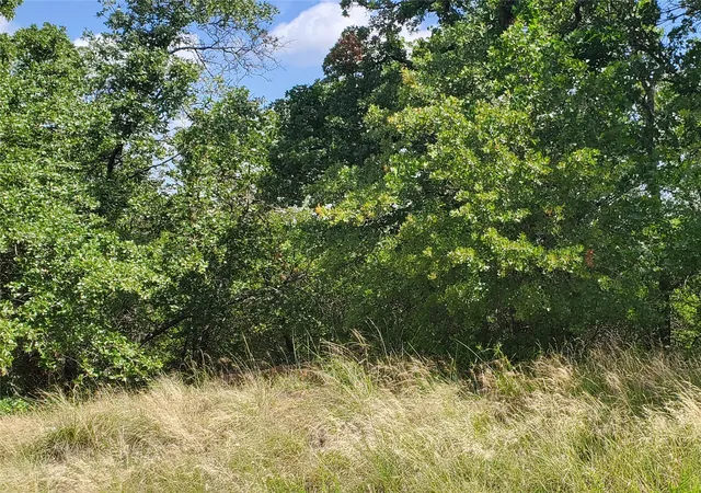Photo 4 of Land for sale at Lot 649 Horizon Ridge, Sunset, TX 76270 | MLS# 20940721 | Listing updated on 2026-08-29
