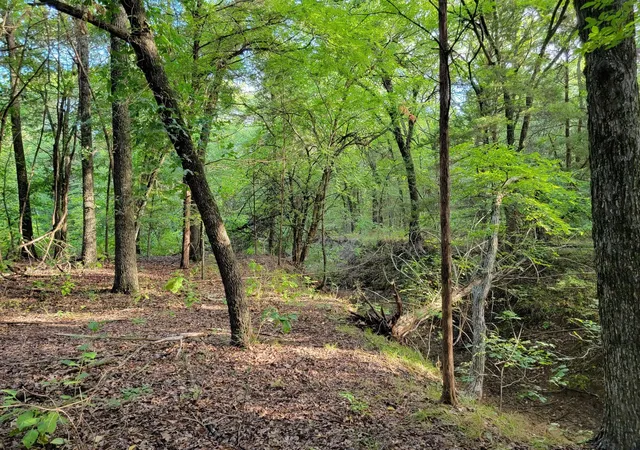 2nd image of Tbd County Road 127, Whitesboro, TX 76273 | MLS# 20921109