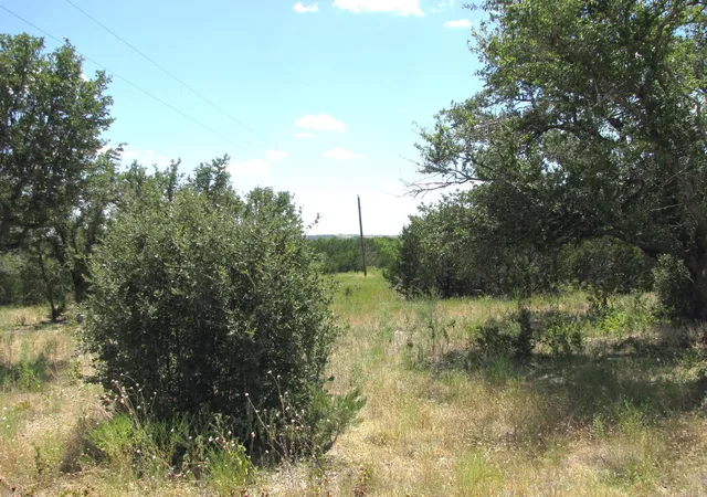 Homes for sale in Evant, TX | Tbd-Lot 23 Ph 1 Pr4218, Evant, TX 76525 | MLS# 20943690