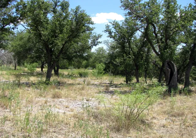 Homes for sale in Evant, TX | Tbd-Lot 23 Ph 1 Pr4218, Evant, TX 76525 | MLS# 20943690