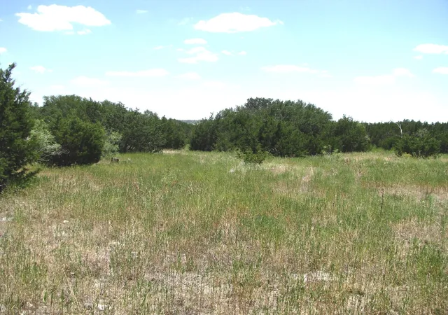Homes for sale in Evant, TX | Tbd-Lot 23 Ph 1 Pr4218, Evant, TX 76525 | MLS# 20943690