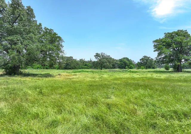 Photo 3 of Land for sale at Tbd County Road 1131, Cumby, TX 75433 | MLS# 20941403 | Listing updated on 2026-08-17