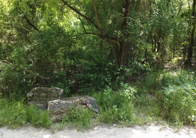 Homes for sale in Wills Point, TX | Tbd 19 Acres Lot 36, Wills Point, TX 75169 | MLS# 20944103