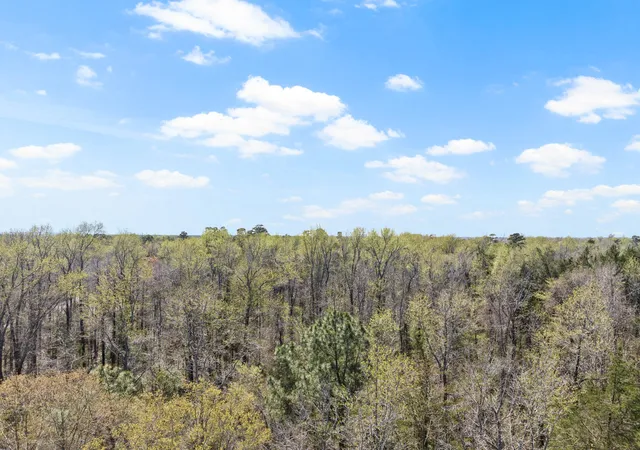 Photo 3 of Land for sale at Lot 5 Cr 4365, Mount Pleasant, TX 75455 | MLS# 20946803 | Listing updated on 2026-09-30