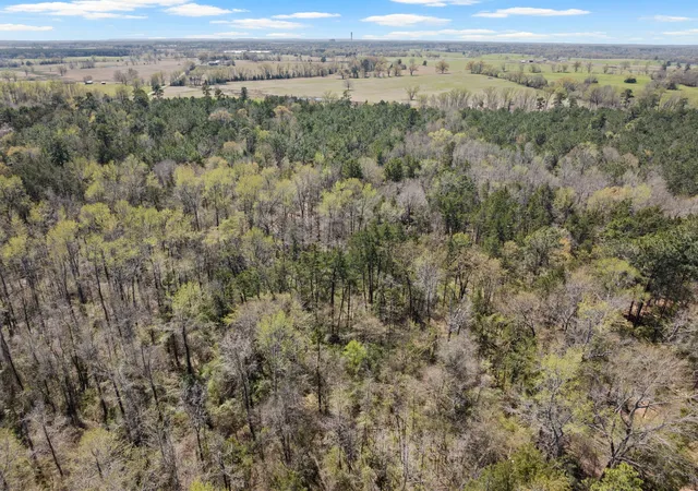 Photo 4 of Land for sale at Lot 5 Cr 4365, Mount Pleasant, TX 75455 | MLS# 20946803 | Listing updated on 2026-09-30