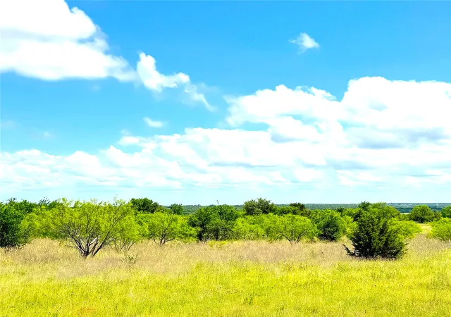 Homes for sale in Perrin, TX | 1020 Goodnight Trl, Perrin, TX 76486 | MLS# 20949366