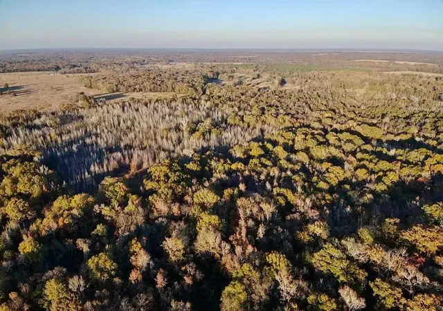 Homes for sale in Bogata, TX | Tract A County Road 1412, Bogata, TX 75426 | MLS# 20950195