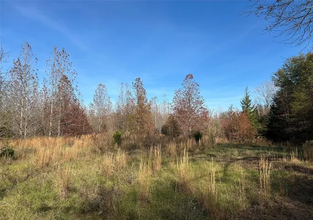 Photo 1 of Land for sale at Tract A County Road 1412, Bogata, TX 75417 | MLS# 20950195 | Listing updated on 2026-08-21