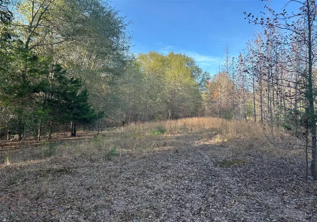 Photo 2 of Land for sale at Tract A County Road 1412, Bogata, TX 75417 | MLS# 20950195 | Listing updated on 2026-08-21