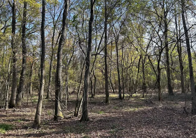 Homes for sale in Bogata, TX | Tract A County Road 1412, Bogata, TX 75426 | MLS# 20950195