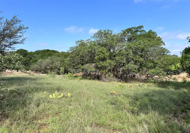 Homes for sale in May, TX | Tbd Lot 479 Oak Point Dr, May, TX 76857 | MLS# 20952486