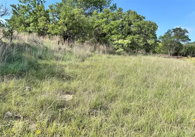 Homes for sale in May, TX | Tbd Lot 479 Oak Point Dr, May, TX 76857 | MLS# 20952486