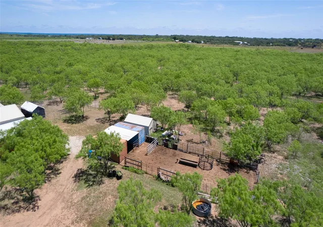 Homes for sale in Brookesmith, TX | 15905 C R 211, Brookesmith, TX 76827 | MLS# 20954255