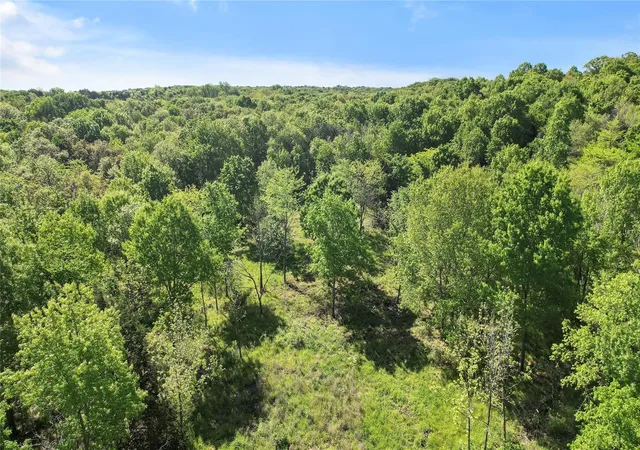 Homes for sale in Bells, TX | 000 Hwy 56, Bells, TX 75414 | MLS# 20956734