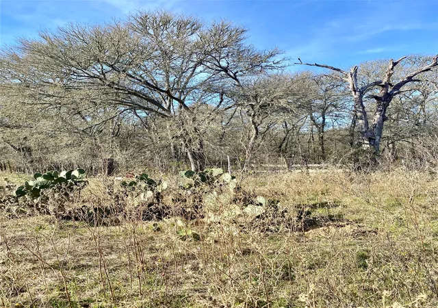 Photo 3 of Land for sale at 000 County Road 123, Ledbetter, TX 78946 | MLS# 20957365 | Listing updated on 2026-10-02