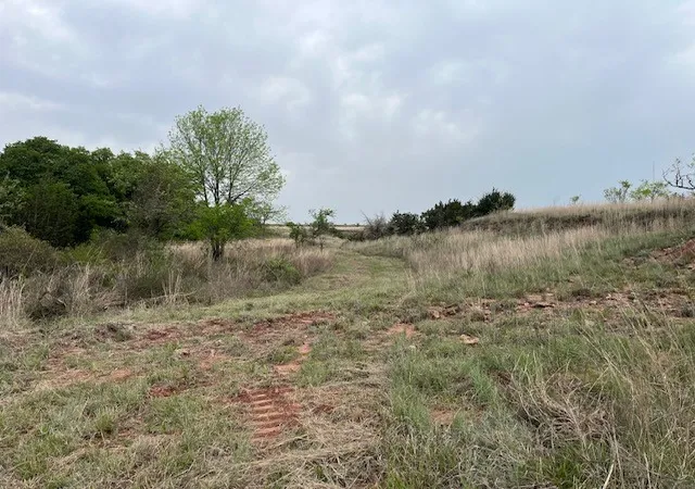 Homes for sale in Perrin, TX | 35 Ac Two Bush Rd, Perrin, TX 76486 | MLS# 20964544