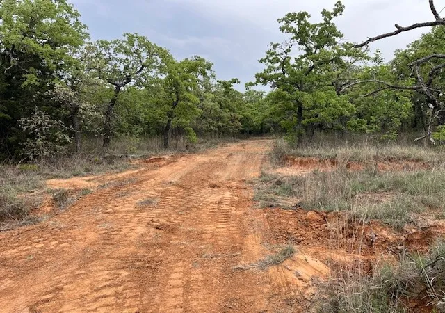 Homes for sale in Perrin, TX | 35 Ac Two Bush Rd, Perrin, TX 76486 | MLS# 20964544