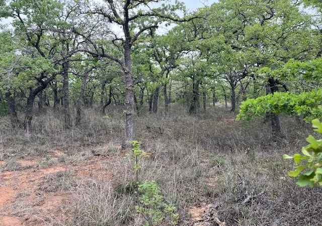 Homes for sale in Perrin, TX | 35 Ac Two Bush Rd, Perrin, TX 76486 | MLS# 20964544