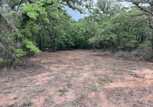 Homes for sale in Perrin, TX | 35 Ac Two Bush Rd, Perrin, TX 76486 | MLS# 20964544
