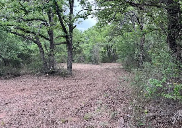 Homes for sale in Perrin, TX | 35 Ac Two Bush Rd, Perrin, TX 76486 | MLS# 20964544