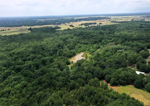 Land for sale at Tbd County Road 2620, Ivanhoe, TX 75447 | MLS# 20964706