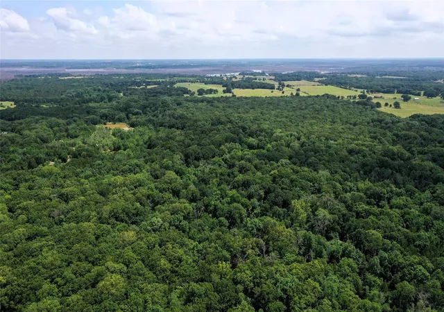 Photo 3 of Land for sale at Tbd County Road 2620, Ivanhoe, TX 75447 | MLS# 20964706 | Listing updated on 2026-08-18