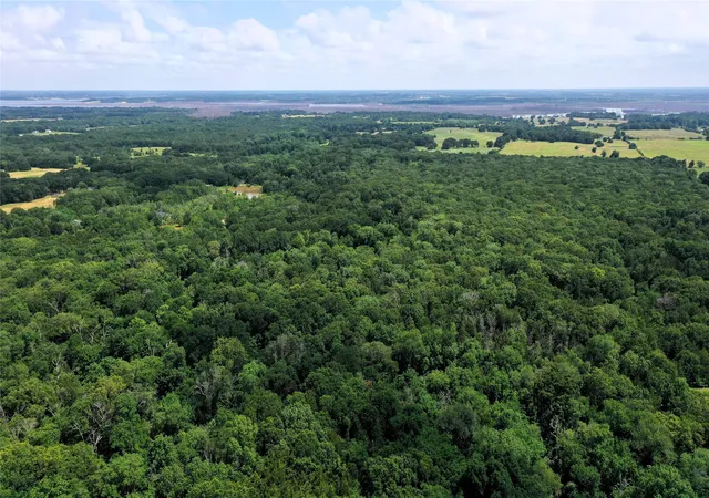 Photo 3 of House for sale at Tbd County Road 2620, Ivanhoe, TX 75447 | MLS# 20964706 | Listing updated on 2026-08-18