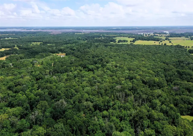 Photo 4 of House for sale at Tbd County Road 2620, Ivanhoe, TX 75447 | MLS# 20964706 | Listing updated on 2026-08-18