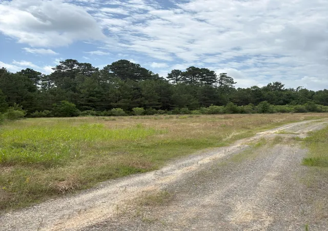 Photo 1 of Land for sale at Tbd County Road 425, Tenaha, TX 75974 | MLS# 20964830 | Listing updated on 2026-09-01