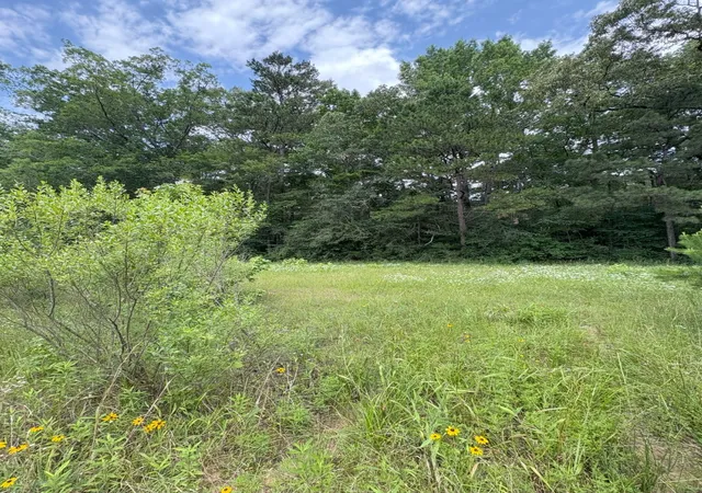 Photo 2 of Land for sale at Tbd County Road 425, Tenaha, TX 75974 | MLS# 20964830 | Listing updated on 2026-09-01