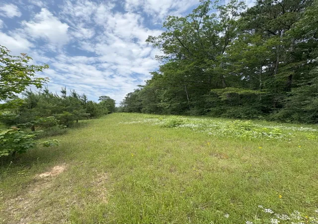 Photo 3 of Land for sale at Tbd County Road 425, Tenaha, TX 75974 | MLS# 20964830 | Listing updated on 2026-09-01