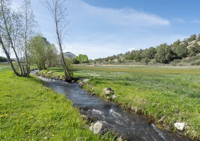 Homes for sale in Del Norte, CO | 142 Meadow Rd, Del Norte, CO 81132 | MLS# 20954174