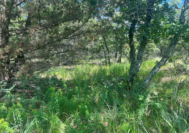 Photo 4 of Land for sale at Lot 479 Bluffs Ave, Bowie, TX 76230 | MLS# 20960989 | Listing updated on 2026-08-25