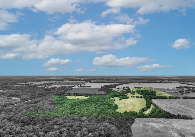 Homes for sale in Klondike, TX | 2287 Fm 3132, Klondike, TX 75448 | MLS# 20967654