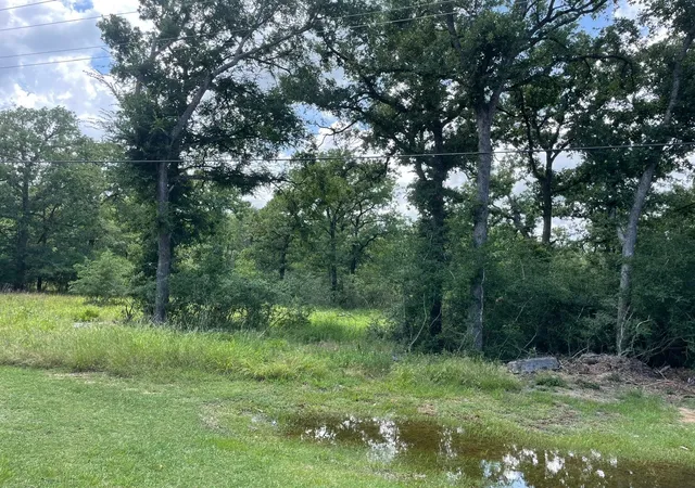 Photo 1 of Land for sale at 750 Lcr 750, Thornton, TX 76687 | MLS# 20965418 | Listing updated on 2026-07-10