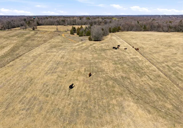 Homes for sale in Whitesboro, TX | 929 County Line Church Rd, Whitesboro, TX 76273 | MLS# 20967541