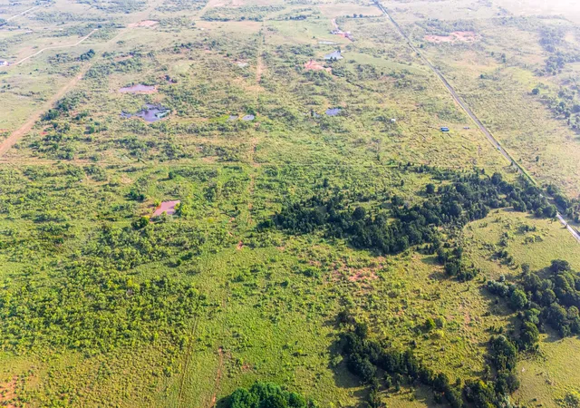 Photo 1 of Land for sale at Tbd Tract 4 2831 Ac Boren Rd, Ringgold, TX 76261 | MLS# 20972960 | Listing updated on 2026-09-15