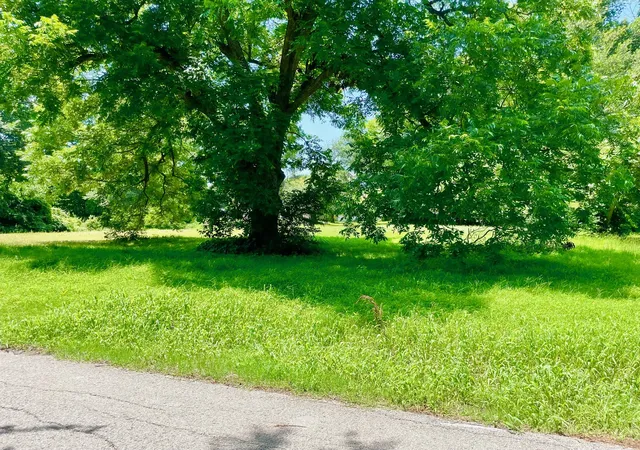 Photo 2 of Land for sale at 0 W Sparks St, Terrell, TX 75160 | MLS# 20973168 | Listing updated on 2026-08-28