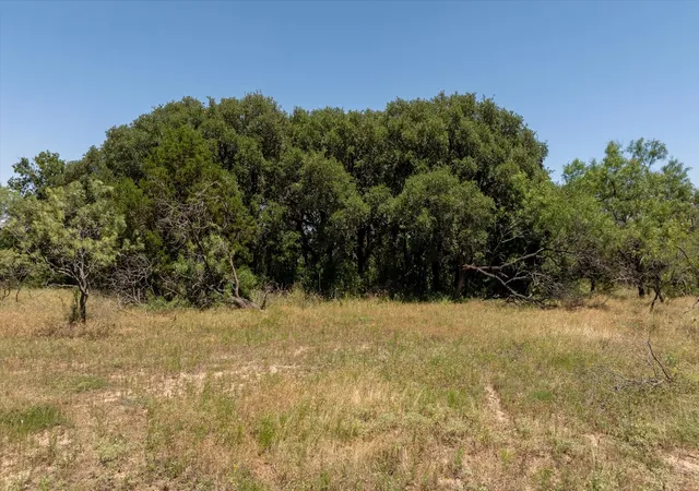 Photo 3 of Land for sale at Tbd Cr 386, Carlton, TX 76436 | MLS# 20965034 | Listing updated on 2026-10-06