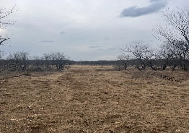 Homes for sale in Jacksboro, TX | W 17 Ac Burwick Rd, Jacksboro, TX 76458 | MLS# 20975357