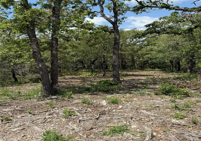 Homes for sale in Nocona, TX | Tbd Lot 59, Red Oak Hills #Lot 59, Nocona, TX 76255 | MLS# 20976622