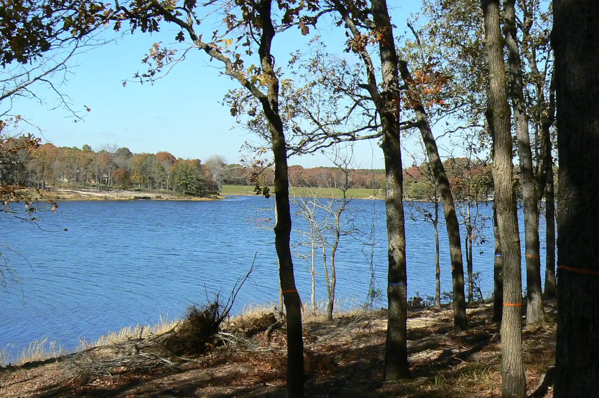 Photo 1 of Land for sale at 9122 Safari Bluff, Larue, TX 75770 | MLS# 20947459 | Listing updated on 2026-05-22
