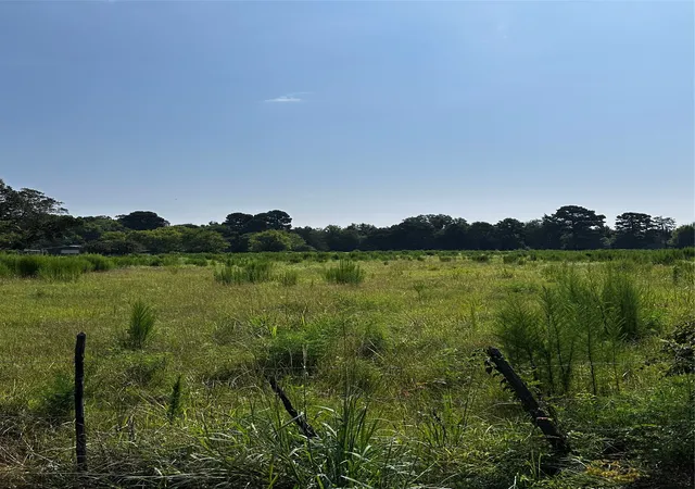 Homes for sale in Daingerfield, TX | 001 Fm-144, Daingerfield, TX 75638 | MLS# 20978597