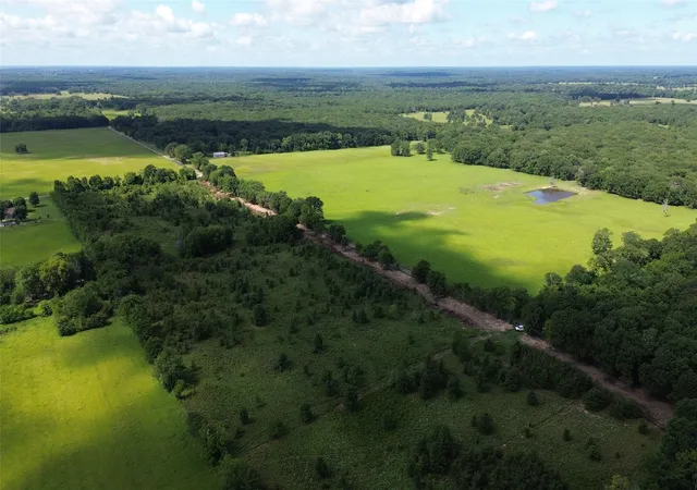 Homes for sale in Emory, TX | Lot 1 Rs County Road 2470, Emory, TX 75440 | MLS# 20979409