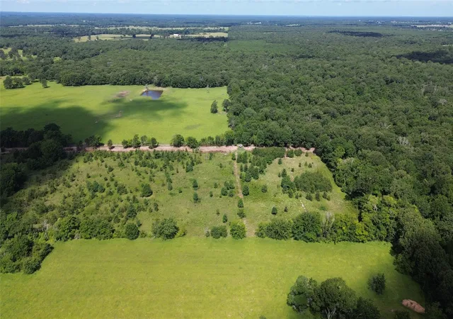 Homes for sale in Emory, TX | Lot 1 Rs County Road 2470, Emory, TX 75440 | MLS# 20979409